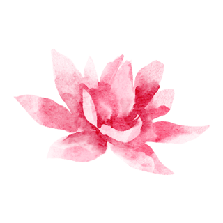 Nome do produto Caneca Capa do livro e Lótus  (Lama e Lótus)