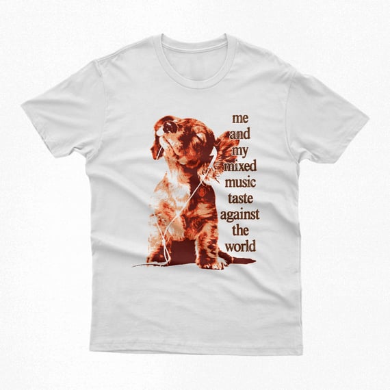 Camiseta | me and my mixed music taste against the world