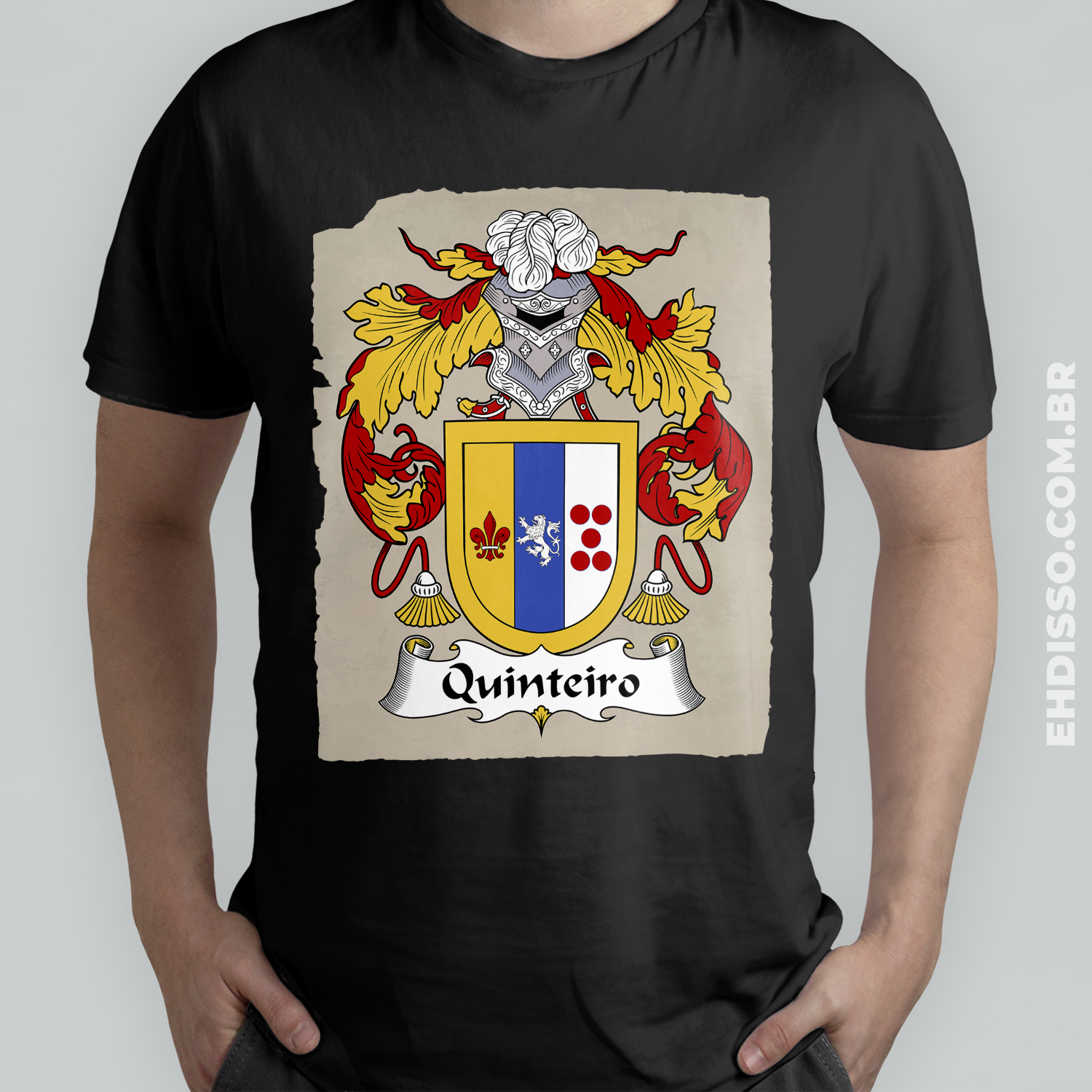 Brasão Família Quinteiro Origem Historia Sobrenome