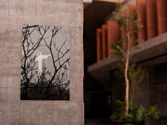 Jardim Botânico 02<br>Poster / Retrato