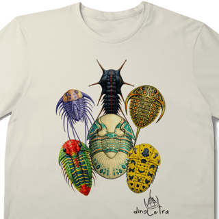Trilobitas