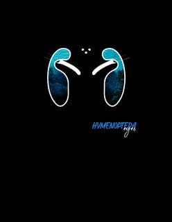 Nome do produto Camiseta Hymenoptera Eyes
