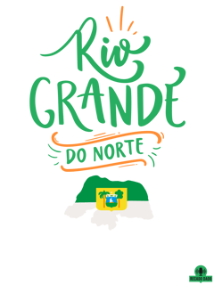 Nome do produto Camiseta feminina de turismo do belo estado do 