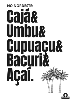 Nome do produto Camiseta de Chef 