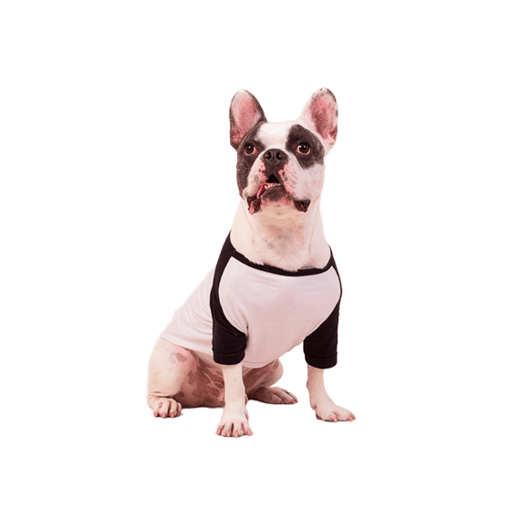 Camisa Pet Dog
