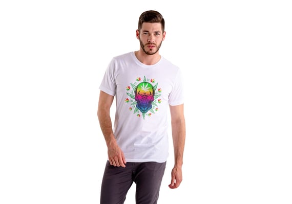 CAMISETA SKULL COLORS SMOKE