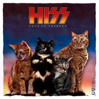 Nome do produto Moletom Canguru Kiss - Cats Of Thunder 