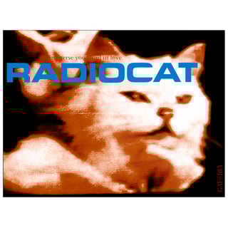 Nome do produto Moletom Radiohead - Radiocat - Branco