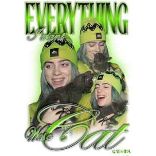 Nome do produto Moletom Billie Eilish - Everything I Want Was A Cat