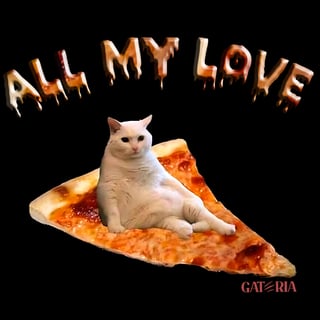 Nome do produto Moletom All My Love - Gatos e PIzza 