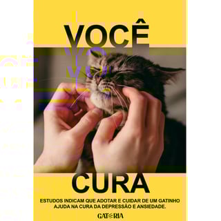 Nome do produto Moletom Você Cura 