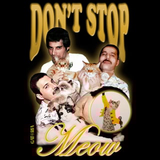 Nome do produto Camiseta Freddie Mercury - Don't Stop Meow - Preto