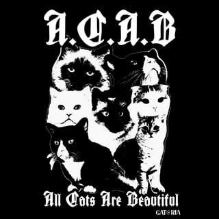 Nome do produto Moletom ACAB - All Cats Are Beautifull