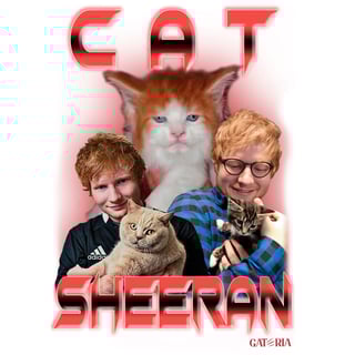 Nome do produto Camiseta Cat Sheeran - Branco