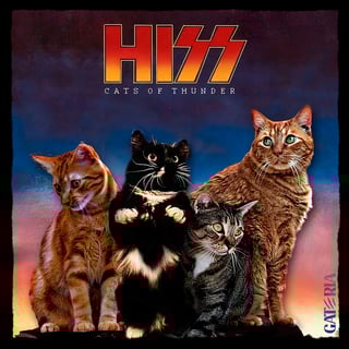 Nome do produto Moletom Kiss - Cats Of Thunder 