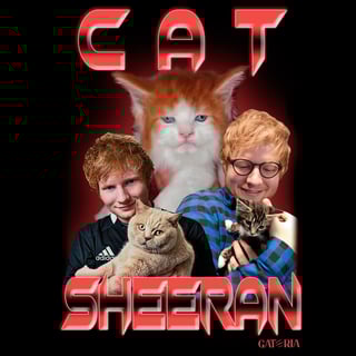 Nome do produto Camiseta Cat Sheeran - Preto