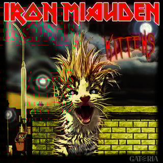 Nome do produto Moletom Iron Miauden - Kittens - Preto