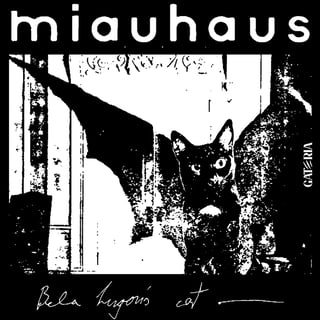 Nome do produto Camiseta Bauhaus - Miauhaus - Preto