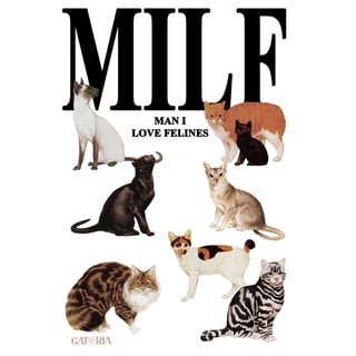 Nome do produto Camiseta MILF - Man I Love Felines - Preto