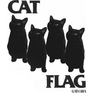 Nome do produto Camiseta Cat Flag - Branco