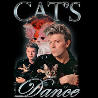 Nome do produto Moletom David Bowie - Cat's Dance