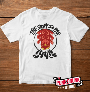 The Story so Far
