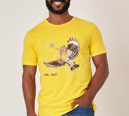 Hoopoe + Do Pó Da Terra [Estonada]
