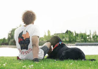 Nome do produto cachorro 3