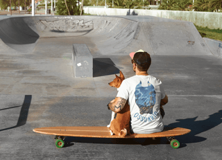 Nome do produto cachorro 2