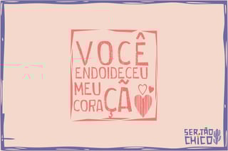 Nome do produto MALHA ESTONADA - FORRÓ - VOCÊ ENDOIDECEU MEU CORAÇÃO