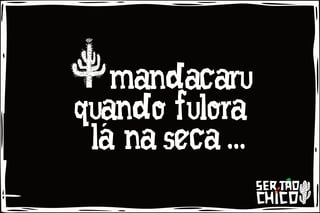 Nome do produto FORRÓ - MANDACARU QUANDO FULORA