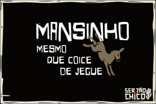 Nome do produto XILOSA - MANSINHO, MESMO QUE COICE