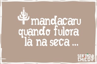 Nome do produto FORRÓ - MANDACARU QUANDO FULORA
