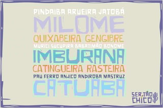 Nome do produto XILOSA - CACHAÇA - MALHA ESCURA
