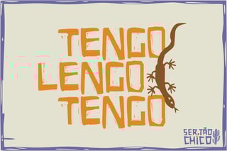 Nome do produto MALHA ESTONADA / PEGA DE BOI - TENGO LENGO TENGO
