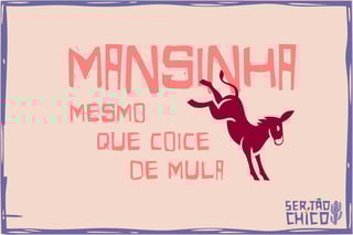 Nome do produto XILOSA - MANSINHA, MESMO QUE COICE