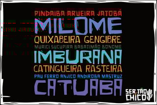 Nome do produto XILOSA - CACHAÇAS TEMPERADAS 1