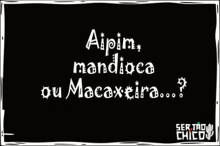 Nome do produto XILOSA - AIPIM, MANDIOCA OU MACAXEIRA?