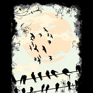 Nome do produto Pássaros