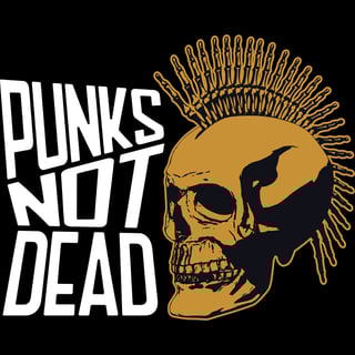 Nome do produto Camiseta Punks Not Dead
