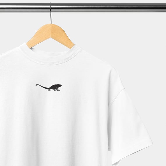 Camiseta Oversized - Chameleon