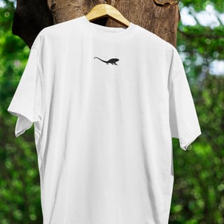 Nome do produtoCamiseta Oversized - Chameleon