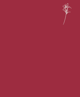 Nome do produto Lírios I camiseta reta vinho / preta / azul marinho