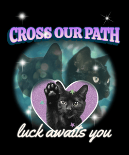 Nome do produto Cross our path camiseta reta G1 ao G4 preta