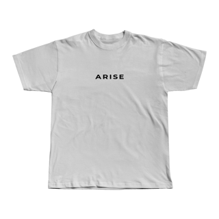 Nome do produto Camiseta Tradicional Statue
