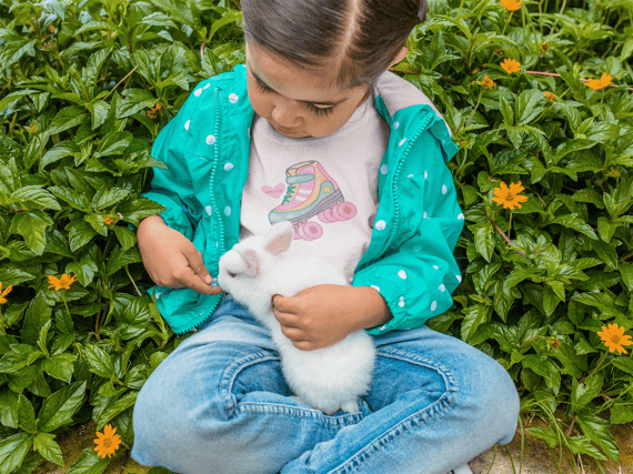 Camiseta Infantil Patins