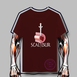 Nome do produto SCALIBUR - DISSECÇÃO ESPONTÂNEA DE ARTÉRIA CORONÁRIA 