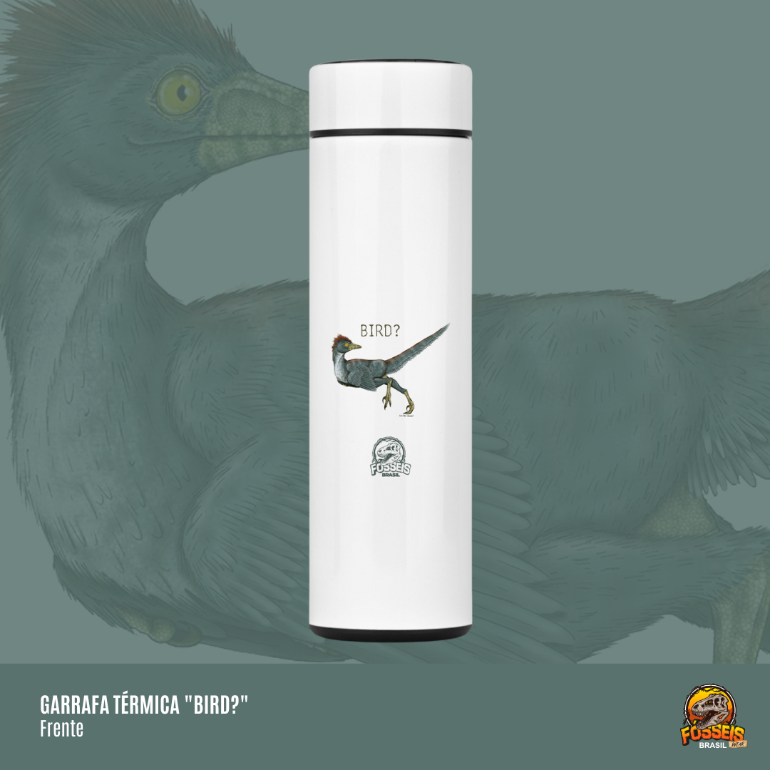 Nome do produto: Garrafa Térmica - \