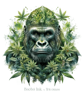 Nome do produtoCAMISETA OVERSIZED GORILLA GLUE - BAOBÁ INK x TRICOMAS