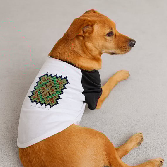 CAMISETA PET RAGLAN MANDALA - MANDALAS DO UNIVERSO X BAOBÁ INK.